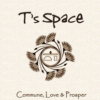 Tspacerocks
