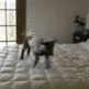 10252012234241