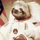 Astro_sloth