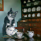 Teacat