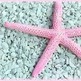 Star.fish