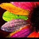 Images_(4)