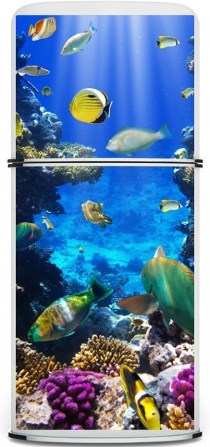 Adhesive for port-between Tropical Fish-sticker Coating Film doors
