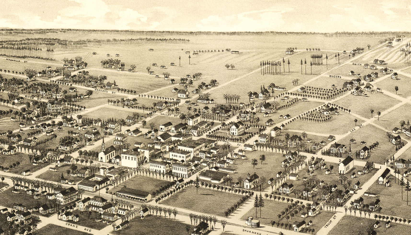 Valdosta, in 1885 Bird's Eye View Map, Aerial, Panorama