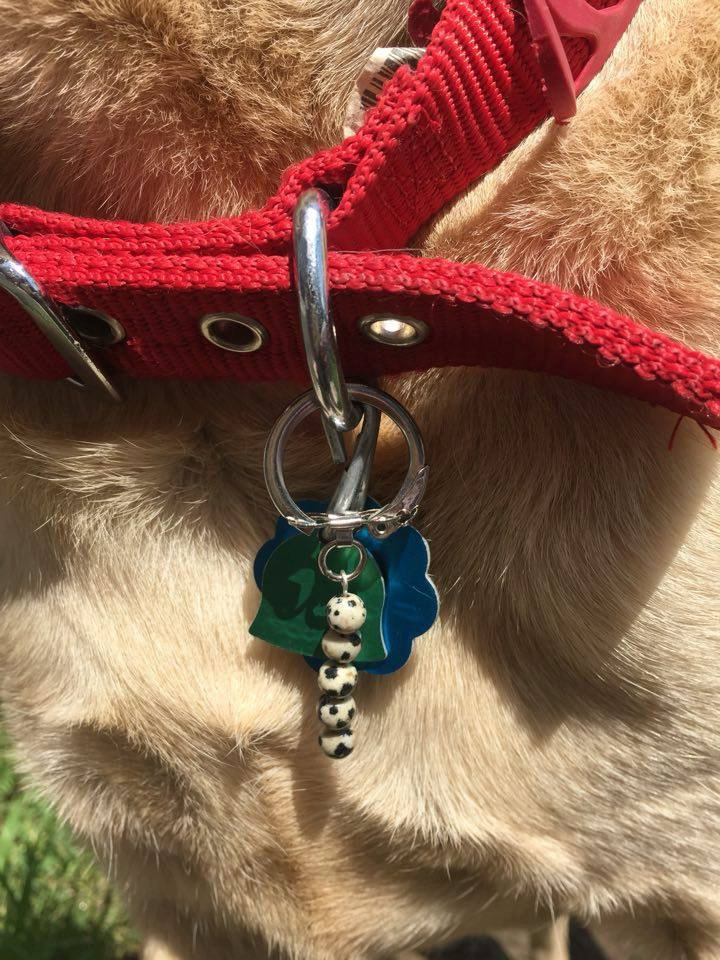 dog collar jewelry charms