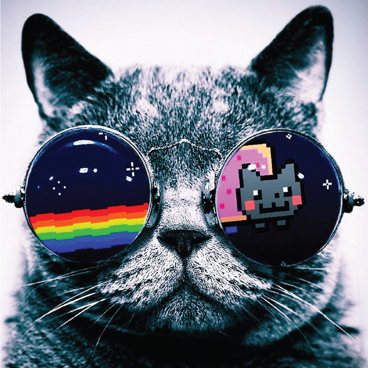 Cool Cat Sticker