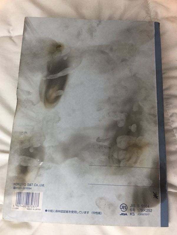 Deku's Notebook Cosplay Prop on Storenvy