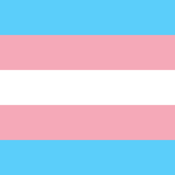 2000px transgender pride flag.svg